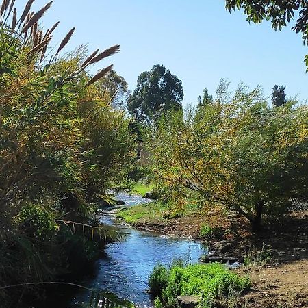 Villa By The River Facing The Hermon In Dafna Exterior foto