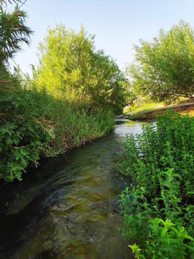 Villa By The River Facing The Hermon In Dafna Exterior foto